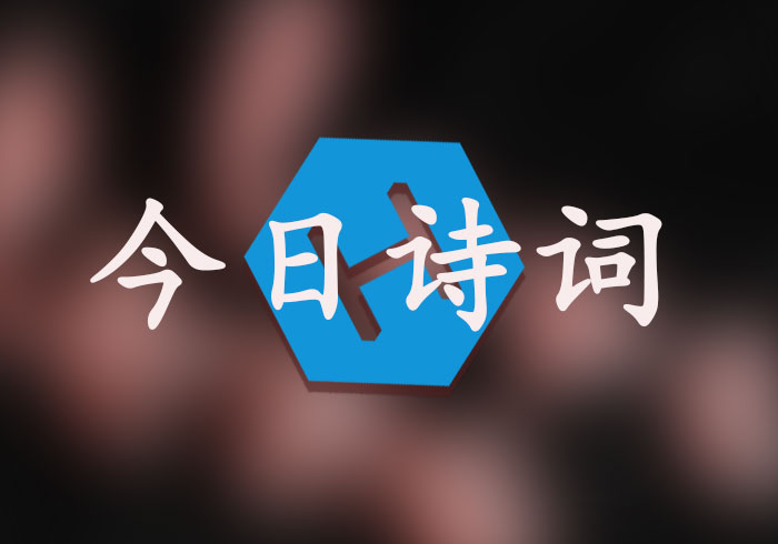 今日诗词侧边栏小组件